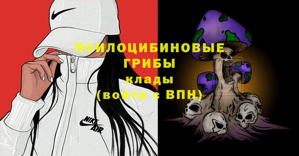 ECSTASY Баксан